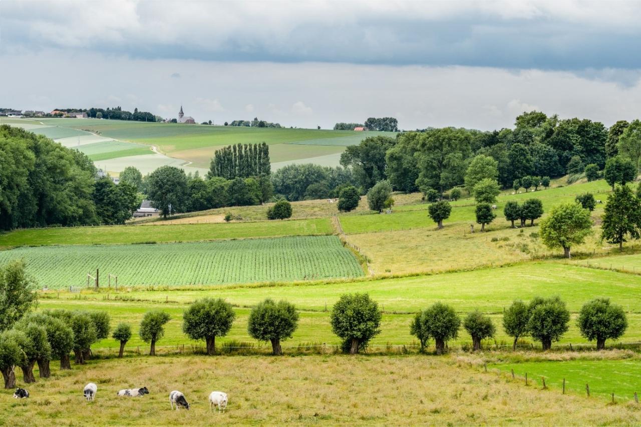 Landschapspark Vlaamse Ardennen